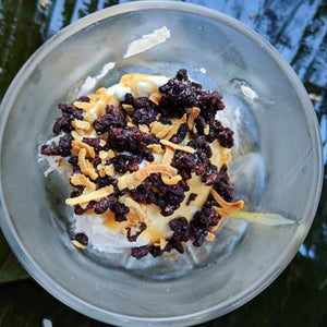 LALO Chef Michael Cher Guest Recipe: Coconut Sorbet